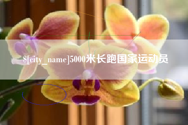 克拉玛依5000米长跑国家运动员