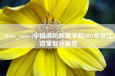 克拉玛依中国消防救援学院2021年浙江省录取分数线