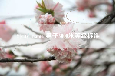 克拉玛依男子5000米等级标准