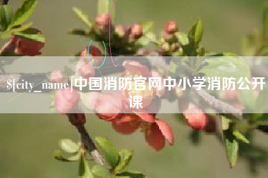 克拉玛依中国消防官网中小学消防公开课