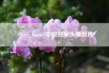克拉玛依中国冠军头像图片