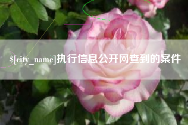 克拉玛依执行信息公开网查到的案件