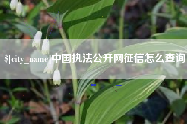 克拉玛依中国执法公开网征信怎么查询