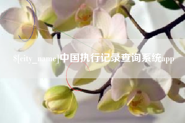 克拉玛依中国执行记录查询系统app