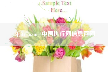 克拉玛依中国执行网信息官网