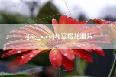 克拉玛依九宫格龙图片