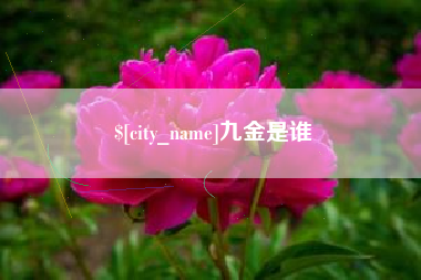 克拉玛依九金是谁