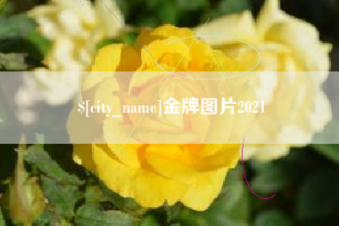 克拉玛依金牌图片2021
