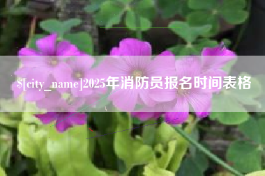 克拉玛依2025年消防员报名时间表格