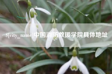 克拉玛依中国消防救援学院具体地址