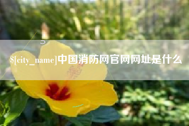 克拉玛依中国消防网官网网址是什么
