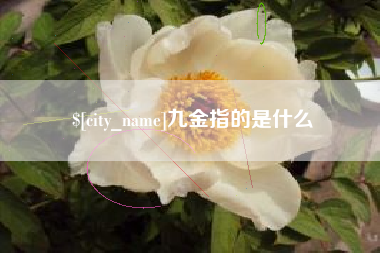 克拉玛依九金指的是什么