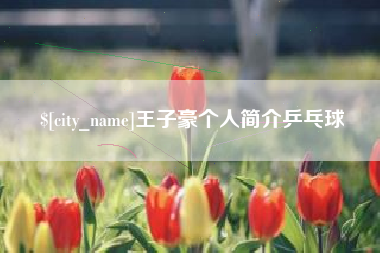 克拉玛依王子豪个人简介乒乓球