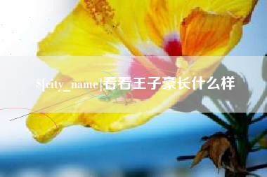 克拉玛依看看王子豪长什么样