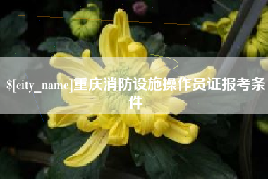 克拉玛依重庆消防设施操作员证报考条件