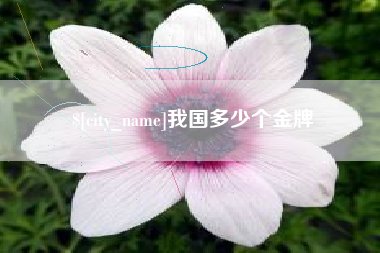 克拉玛依我国多少个金牌