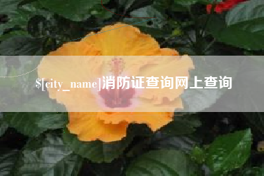 克拉玛依消防证查询网上查询
