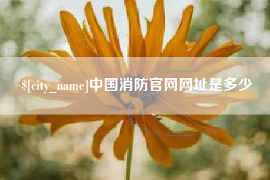 克拉玛依中国消防官网网址是多少