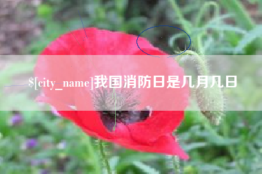 克拉玛依我国消防日是几月几日