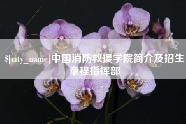 克拉玛依中国消防救援学院简介及招生章程指挥部