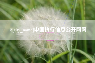 克拉玛依中国执行信息公开网网