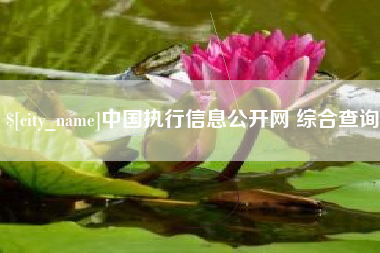 克拉玛依中国执行信息公开网 综合查询