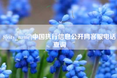 克拉玛依中国执行信息公开网客服电话查询
