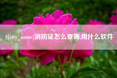 克拉玛依消防证怎么查询,用什么软件