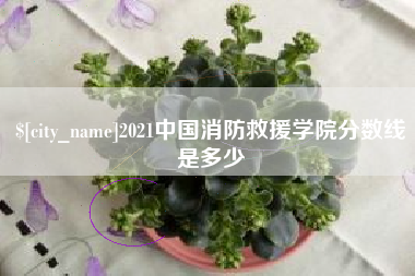 克拉玛依2021中国消防救援学院分数线是多少