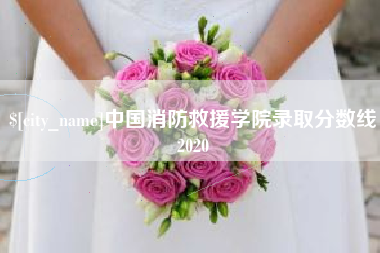 克拉玛依中国消防救援学院录取分数线2020