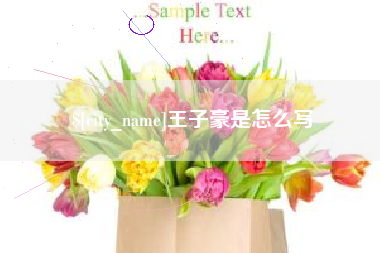 克拉玛依王子豪是怎么写