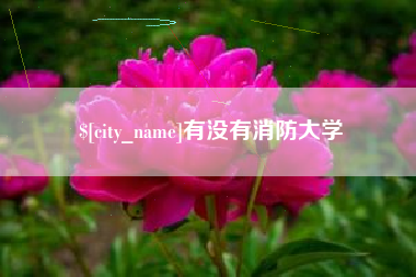 克拉玛依有没有消防大学