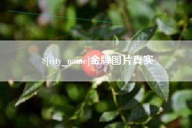 克拉玛依金牌图片真实