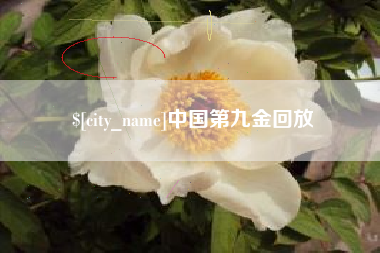 克拉玛依中国第九金回放