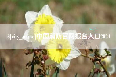 克拉玛依中国消防官网报名入口2024