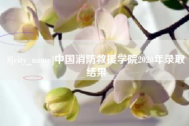 克拉玛依中国消防救援学院2020年录取结果