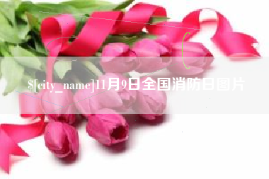 克拉玛依11月9日全国消防日图片