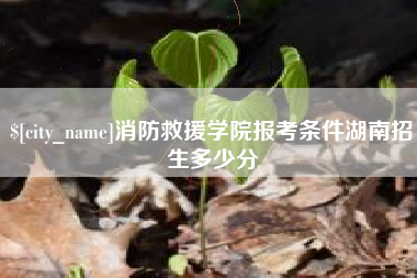 克拉玛依消防救援学院报考条件湖南招生多少分