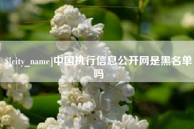 克拉玛依中国执行信息公开网是黑名单吗