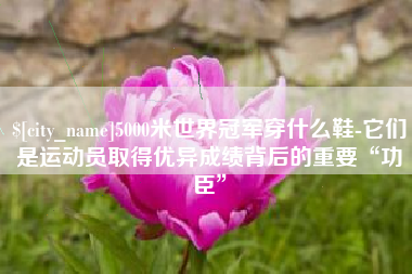 克拉玛依5000米世界冠军穿什么鞋-它们是运动员取得优异成绩背后的重要“功臣”