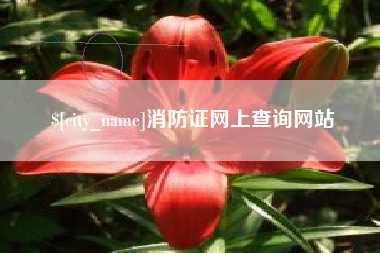 克拉玛依消防证网上查询网站