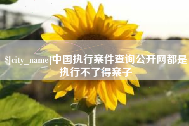 克拉玛依中国执行案件查询公开网都是执行不了得案子
