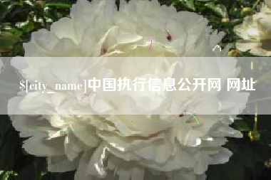 克拉玛依中国执行信息公开网 网址