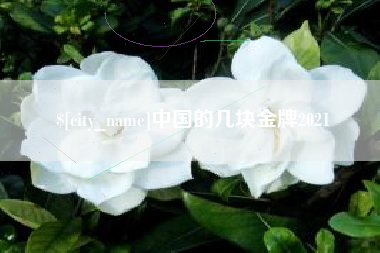 克拉玛依中国的几块金牌2021