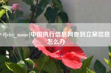 克拉玛依中国执行信息网查到立案信息怎么办
