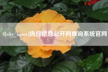 克拉玛依执行信息公开网查询系统官网