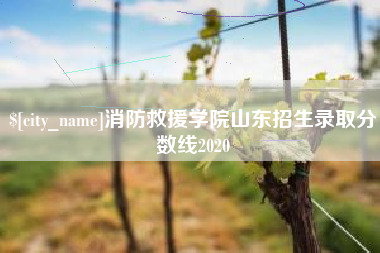 克拉玛依消防救援学院山东招生录取分数线2020