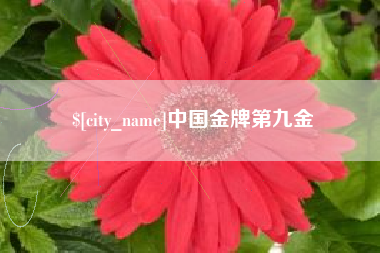 克拉玛依中国金牌第九金