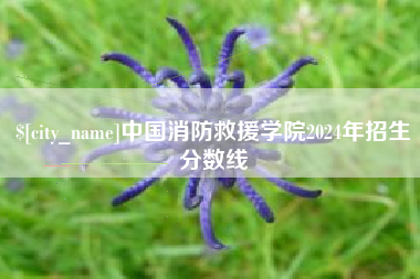 克拉玛依中国消防救援学院2024年招生分数线