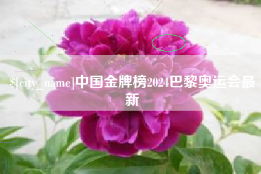 克拉玛依中国金牌榜2024巴黎奥运会最新